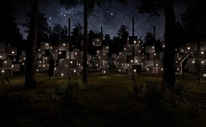 Forest Fireflies